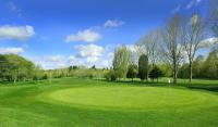 Downshire Golf Complex image 2