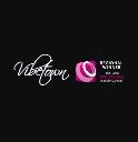 Vibetown - Function & Wedding Band logo