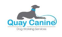 Quay Canine Dog Walking Services image 6
