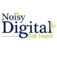 Noisy Digital image 1