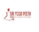 Sri Yoga Peeth logo