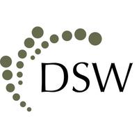 DSW capital image 3
