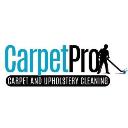 Carpet Pro Belfast logo