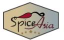 Spice Asia logo