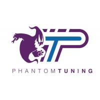 Phantom Tuning Sussex image 1