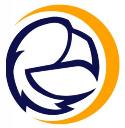 eagle online logo