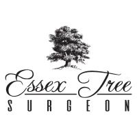 Essex Tree Surgeon image 1