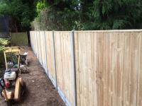 Spelthorne Tree and Garden Services image 4