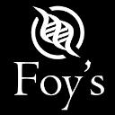 Foys Vip logo