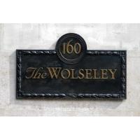 The Wolseley image 1
