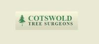 Wiltshire Tree Surgery image 1