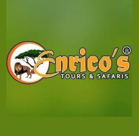 Enrico's Tours and Safaris image 1