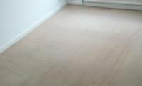 Pro Teck Carpet Cleaning Bristol image 1