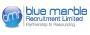 Blue Marble Recruitment Limited image 3