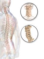 Spinal Backrack image 5