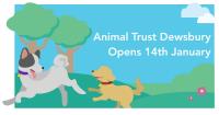 Animal Trust Not for Profit Vets - Dewsbury image 1