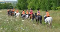 Derbyshire Pony Trekking image 2