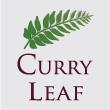 Curry Leaf image 7