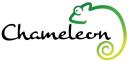 Chameleon Brick Services logo