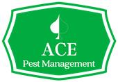 ACE Pest Management image 1