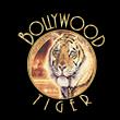 Bollywood Tiger image 2