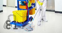 Carpet Cleaning Salford image 1