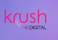 Krush Digital image 2