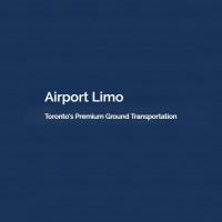 Airport Limo image 1