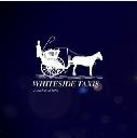 Whiteside Taxis logo