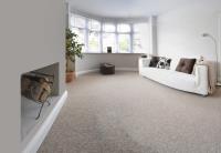 Ilford Carpet Cleaner image 2