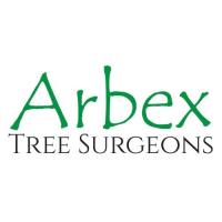 Arbex Tree Surgeons image 1