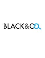 Black & Co Ltd image 1