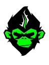 Screen Monkey logo