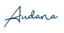 Audana NW LTD logo