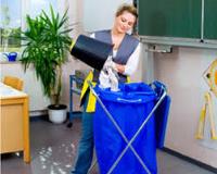 Pro Cleaners Kingston upon Thames image 1