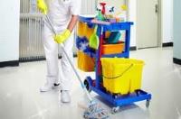 Pro Cleaners Sutton image 1