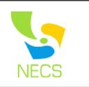 NECS Cleaning Manchester logo