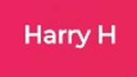 Harry H - Digital Marketing Freelancer image 1