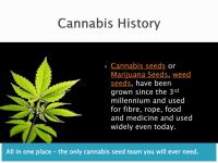 Power Cannabis Seeds image 1
