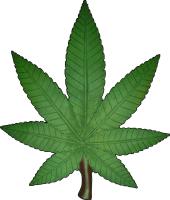Power Cannabis Seeds image 2