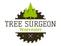Tree Surgeon Worcester image 1