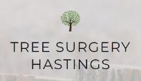 Tree Surgery Hastings image 1