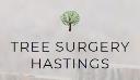 Tree Surgery Hastings logo