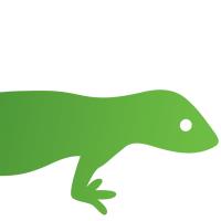 Green Gecko Digital image 6