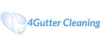 4 gutter cleaning image 1