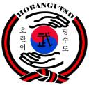 Tiger Academy Tang Soo Do logo