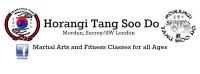 Tiger Academy Tang Soo Do image 3