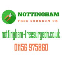 Nottingham Tree Surgeon UK image 1