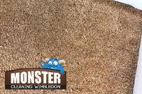 Monster Cleaning Wimbledon image 1