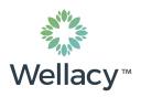 Wellacy Limited logo